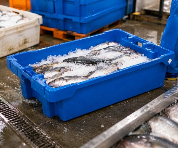 Fish Boxes