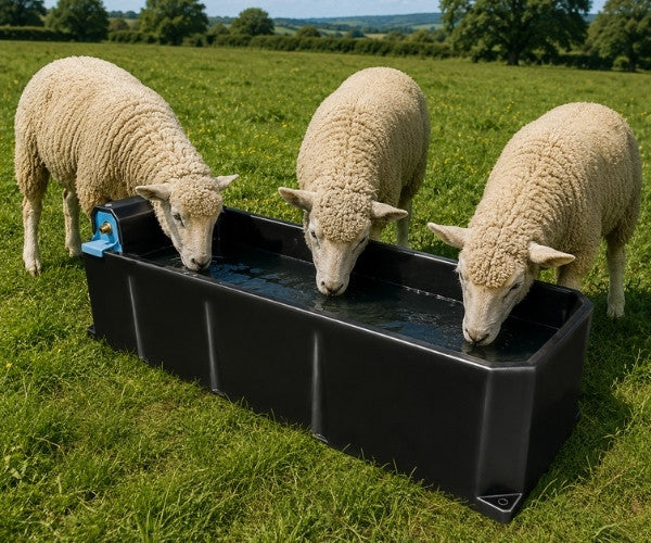 Drinking Troughs And Footbaths