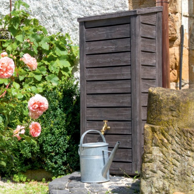 Watering can in garden