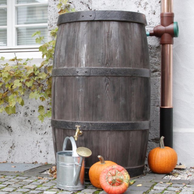 500 Litre Burgundy Garden Water butt in the garden