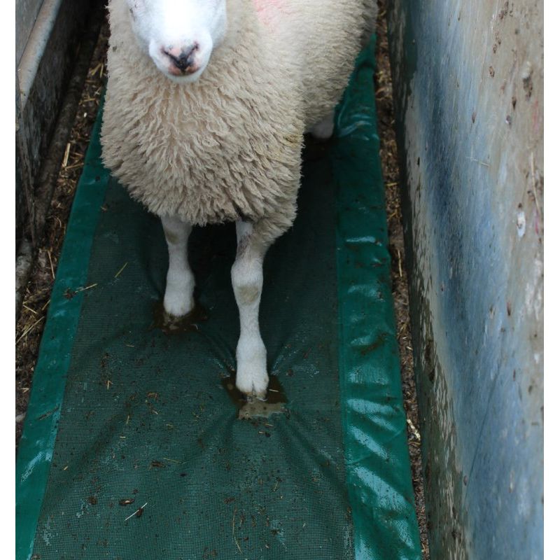 Foam Footbath for Sheep