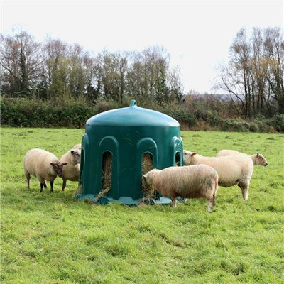 Sheep feeding from Haybell feeder