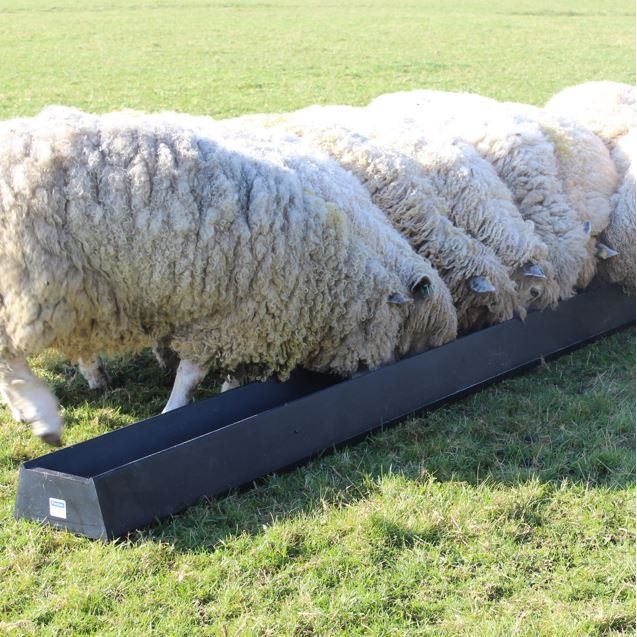 Paxton 54 Litre Feed Trough in the field