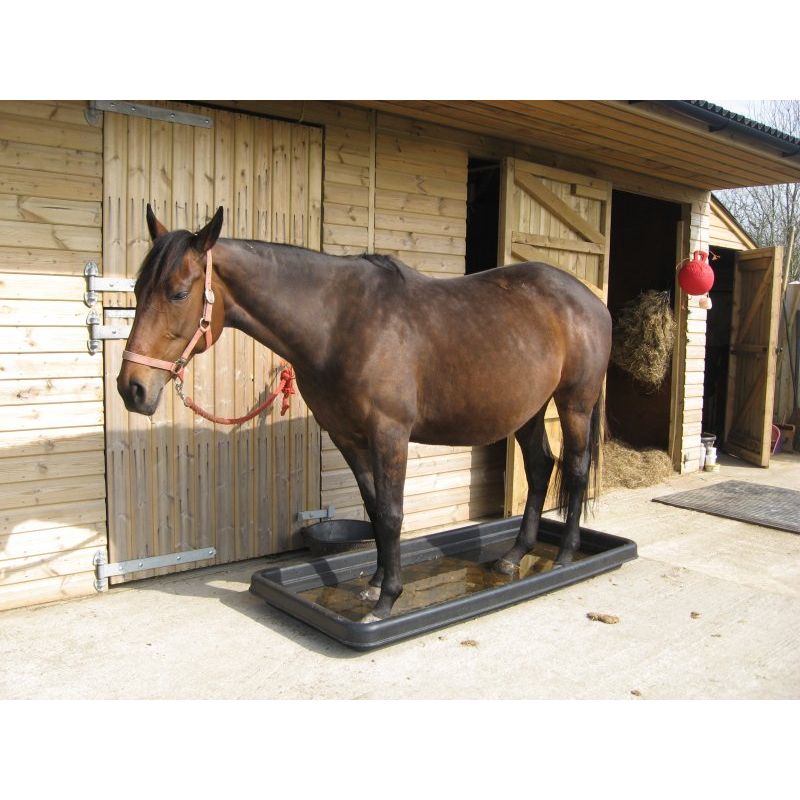 Paxton FB1 2m Footbath