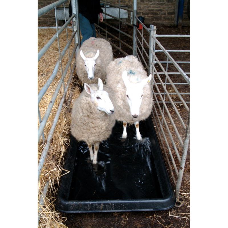 Paxton FB1 2m Footbath