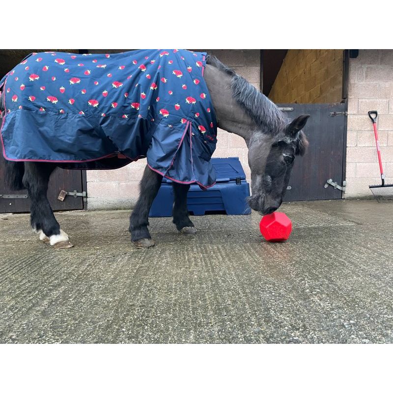 Small Horse Treat Toy