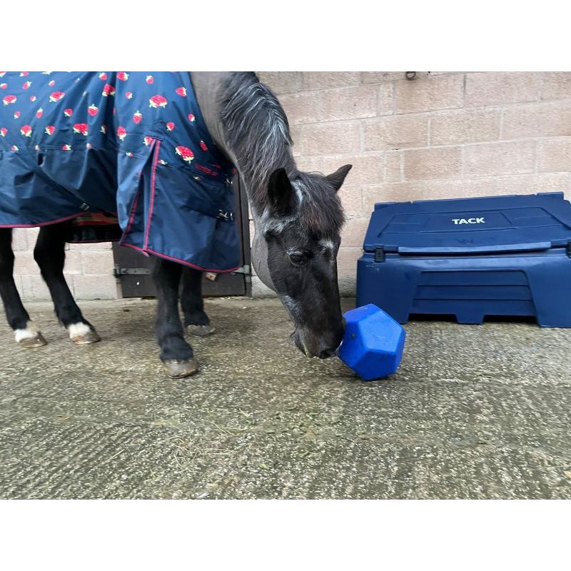 Horse Treat Toy