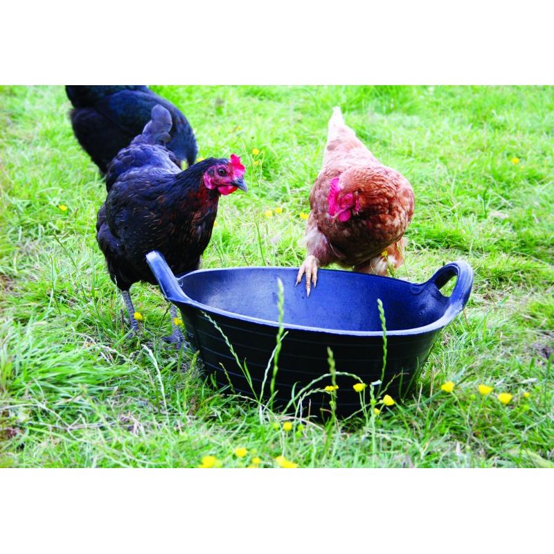 skip with chickens, chicken feed