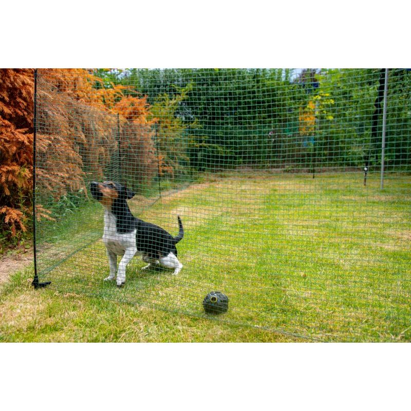 Hotline Boundary Netting Dog