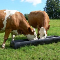 Paxton 80 Litre Feed Trough