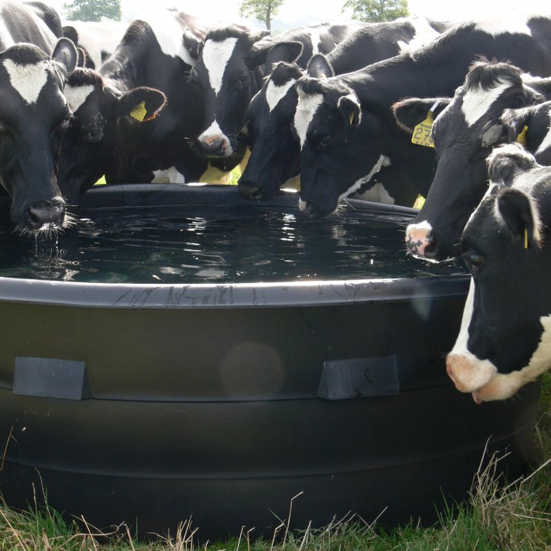 Paxton 2000 Litre Circular Drinking Trough & Ballcock - Tanks Direct