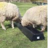 Paxton 34 Litre Feed Trough